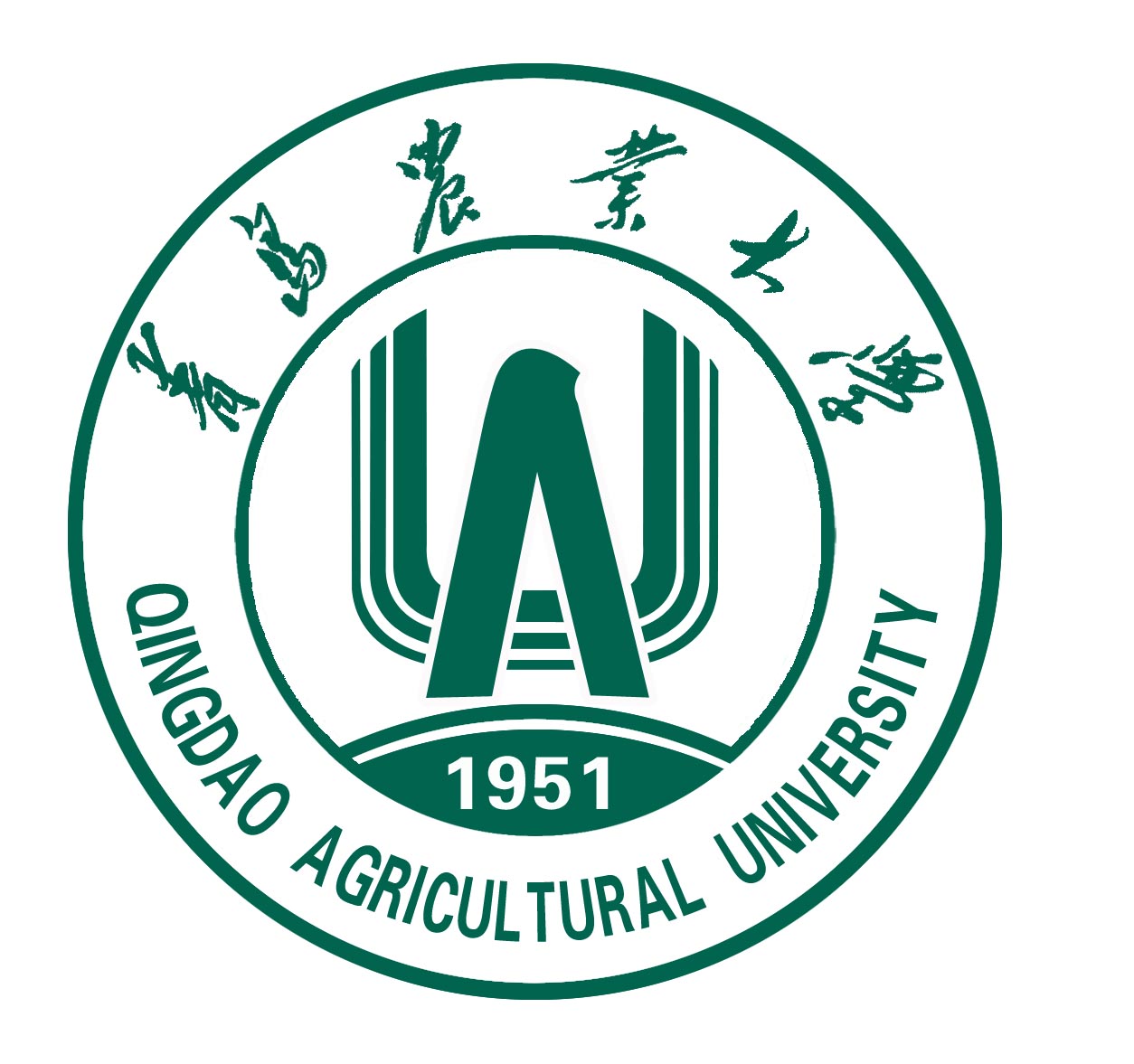 合作学校2